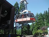 40 - Grouse Mountain - IMGA0210